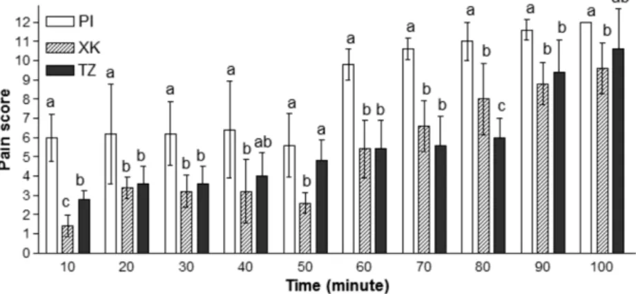 Fig. 6.  Comparison of pain score during and after sedation for PI group, XK group and TX group.