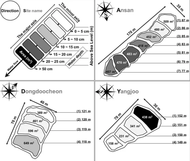 Fig. 1. Geomorphological characteristics of three different abandoned paddy terraces. Divided areas indicate each layers within a terrace and different darkness of each area means different water depth.