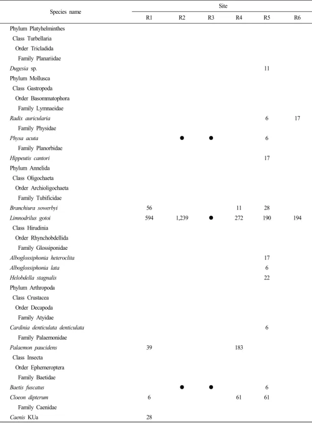Table 4. Individual number of benthic macroinvertebrates at the sampling sites (Number : total average of quantitative result, ● : qualitative result)