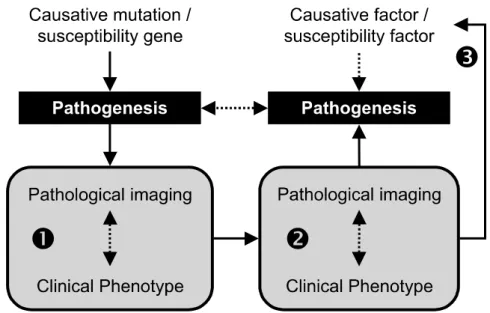 Figure 2. Stepped approach to explore the pathogenesis of sporadic PD. The basic tenet underlying this approach is that subgroups of familial and sporadic PD with similar clinical and pathological phenotypes are likely to share pathogenic mechanisms