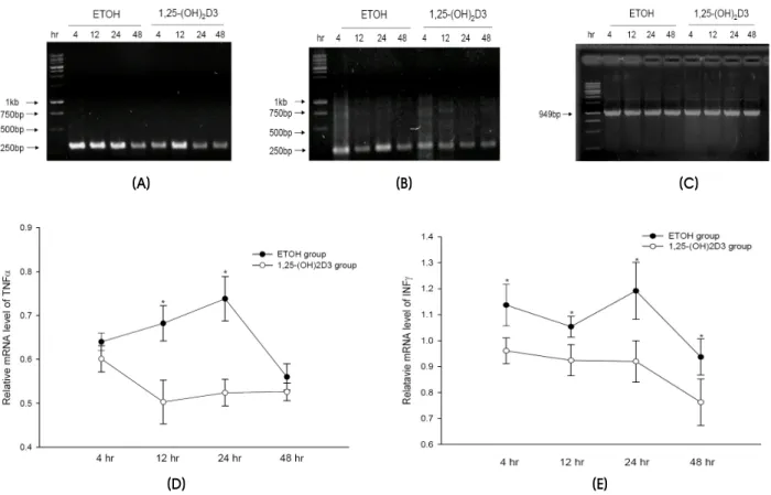 Figure 2. Representative RT-PCR demonstrating the expression of TNFα (A), INFγ (B), and GAPDH (C) mRNAs, and the expression  pattern of the TNFα (D) and INFγ (E) mRNA in the SNpc at various times after MPTP intoxication