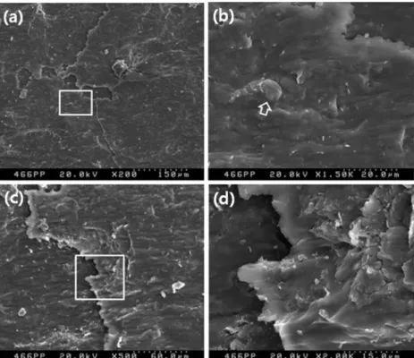 Fig. 5. SEM images at the 466 m core sample showing glassy texture with some slip evidence