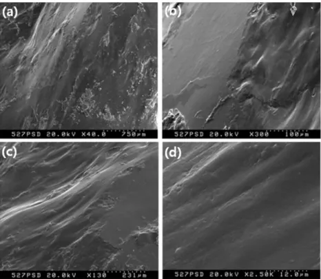 Fig. 7. SEM images at the 527 m core sample showing glassy textures resulted from melting