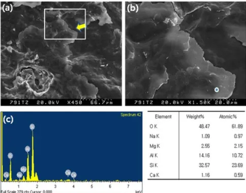 Fig. 9. SEM and EDS images at the 791 m core sample. (a) Glassy textures. Magnification 450×, (b) Enlarged image of the box in (a).