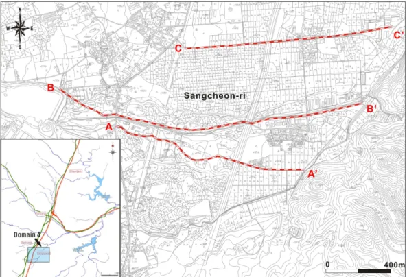 Fig. 4. Micro-topographic survey lines. 