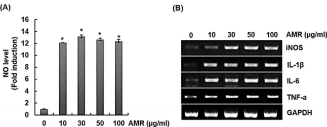 Fig. 2. Effect of TLR2 and TLR4 on the production of immune enhancing factors in AMR-treated RAW264.7 cells