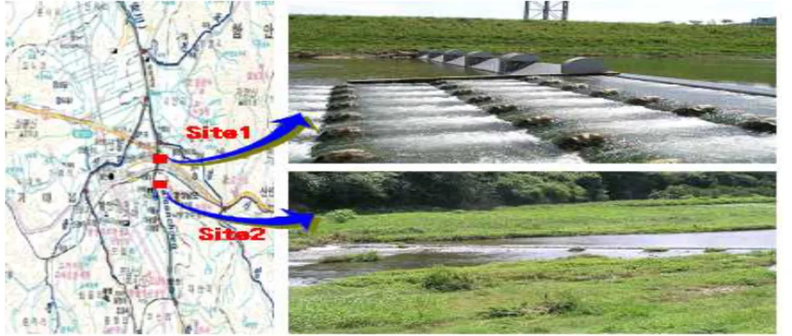 Fig. 1. Survey area of Ham-an river.