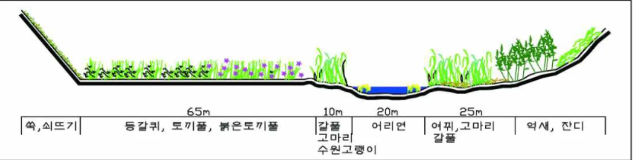 Fig. 4. A cross section diagram of riparian vegetation from the weir with fish way to site of 150m downstream.