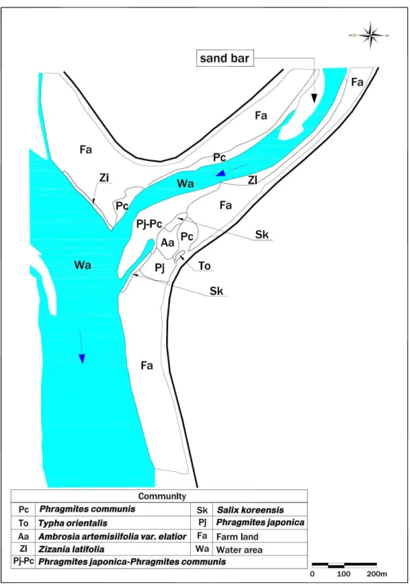Fig. 4. Actual vegetation map of section 1 of Mushimcheon-river.