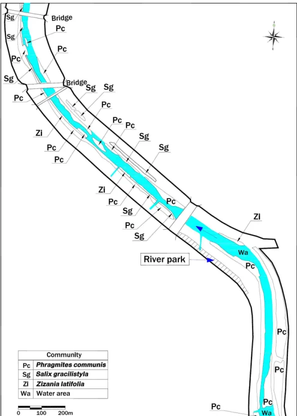 Fig. 7. Actual vegetation map of section 3-2 of Mushimcheon-river.