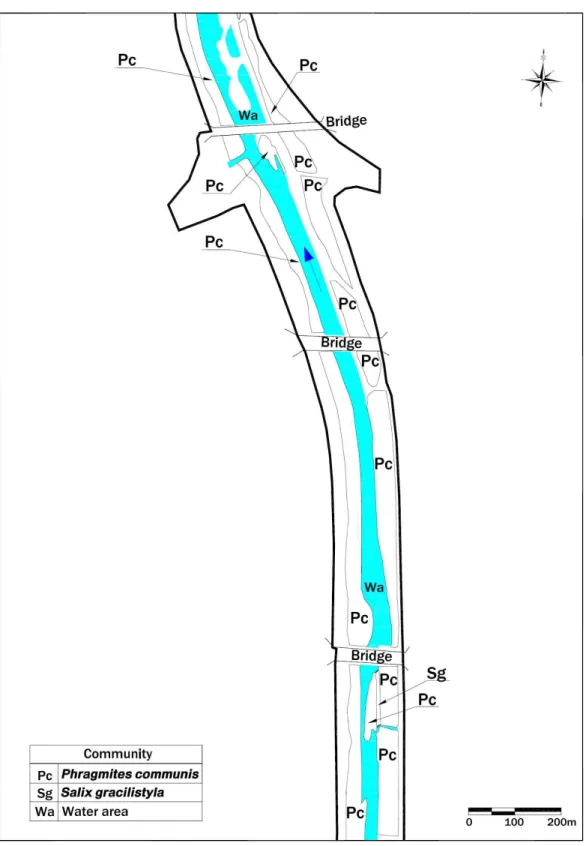 Fig. 8. Actual vegetation map of section 4-1 of Mushimcheon-river.