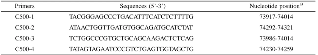 Table 1. PCR primers: sequences and positions