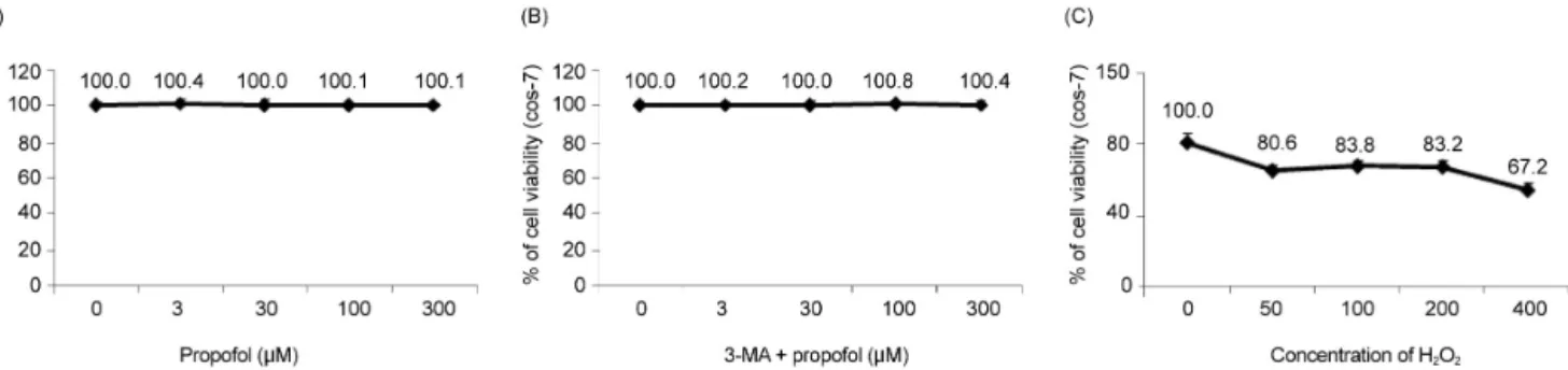 Fig. 2. Cell viability decreases significantly in the H 2 O 2  group and is improved by propofol preconditioning (PPC) (100 μM)