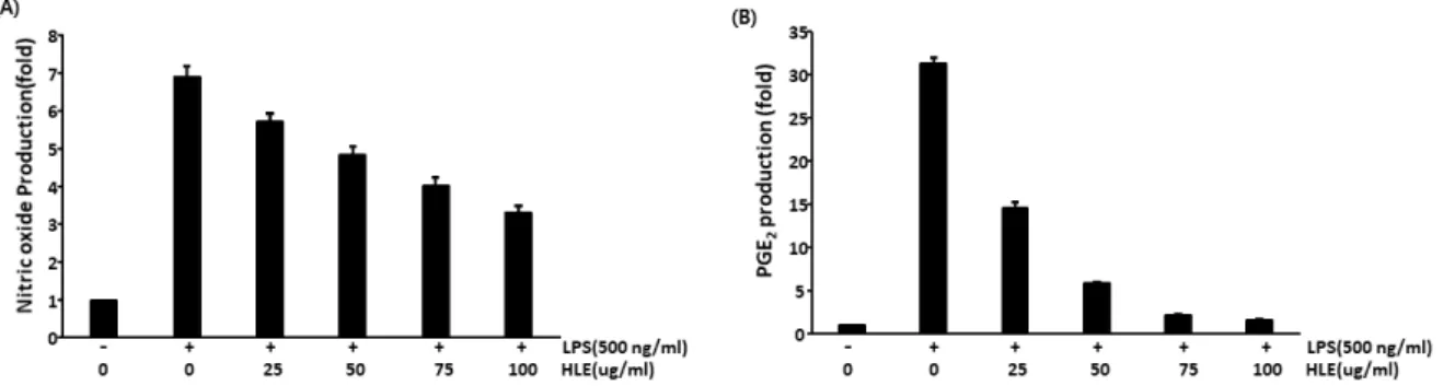 Fig. 2. Effect of H. lyrata extract on LPS-induced NO production (A), PGE 2  expression (B) in RAW 264.7 cells