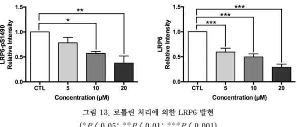 그림 13. 로틀린 처리에 의한 LRP6 발현 (*P < 0.05; **P < 0.01; ***P < 0.001)   LRP6의  하위기전인  mTOR/S6K/S6의  발현을  측정하였다(그림  14)