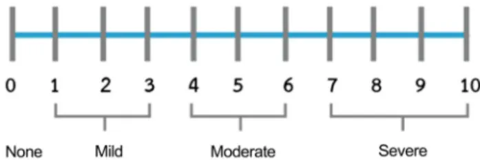 Fig. 2. The visual analog scale (VAS).
