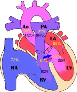 Fig. 2. Capnography was measured while oxygen was being supplied  through a nasal cannula