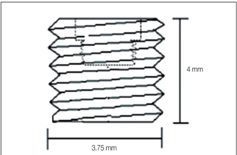 Fig. 1. Schematic diagram of experimental implant.