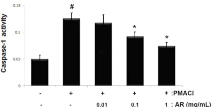 Fig.  4.  Effect  of  AR  on  caspase-1  activation  in  PMACI-  stimulated HMC-1. Cells (5 × 10 5  cells/well) were pretreated  with or without AR (0.01, 0.1 and 1 ㎎/mL) for 1 h prior to  stimulation with PMACI (50 mM PMA + 1 ㎎/mL A23187)  for 4 h