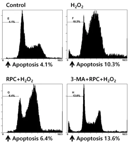 Fig. 4. Fluorescence activated cell sorting (FACS) analysis of Cos-7 cells to determine apoptotic cell populations of each experimental group
