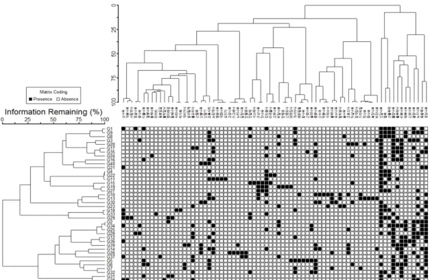 Fig. 4. Dendrogram of TWINSPAN classification.
