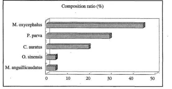 Table  2.  A  list  and  individual  number  of  fish  c이 lected  at  the  each  surveyed  stations