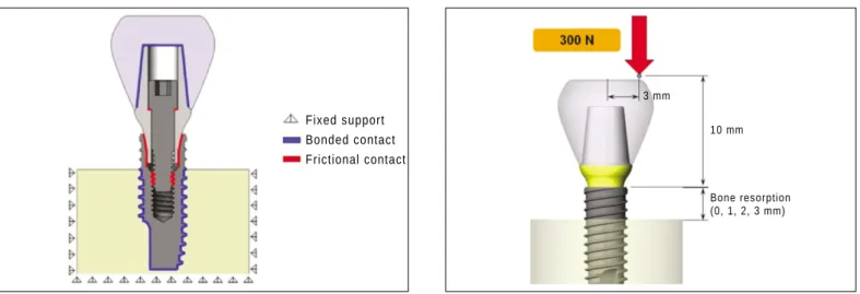 Fig. 2. Contact Conditions.
