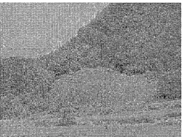 Fig.  3A. Tor  in  Samgong  area.  Fig.  38. Talus.  in  Samgong  area. 