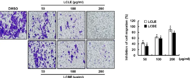 Fig. 3. Effect of LCLE and LCBE on the wound healing in HCT116 cells. Wound healing assay was performed using CytoSelect TM 24-Well Wound Healing Assay Kit according to the manufacturer’s protocol