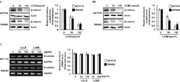 Fig. 4. Effect of LCLE and LCBE on β-catenin level in HCT116 and SW480 cells. HCT116 and SW480 cellswere treated with LCLE  and LCBE at the indicated concentrations for 24 h