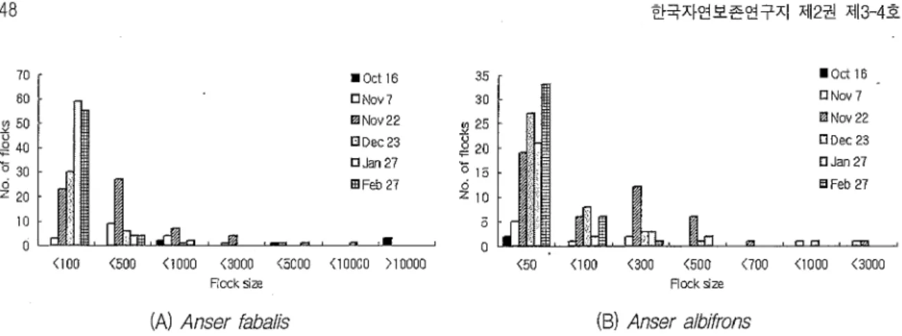 Fig.  6.  Changes  of  flock  size  (number  of  individuals/flock)  of  geese  wintering  in  Seosan  A  reclaimed  area
