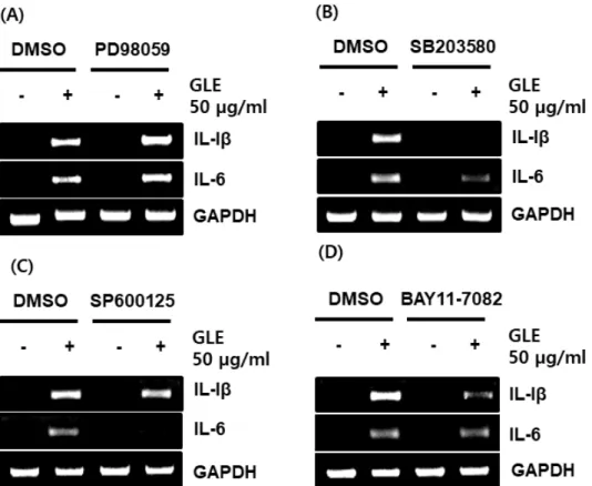 Fig. 3. Effect of MAPK and NF-κB signaling on GLE-mediated expression of immune-related genes such as IL-1β and IL-6 in  RAW264.7 cells