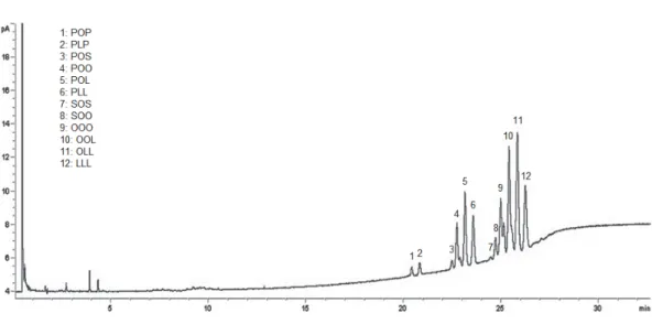 Fig.  4.  A  typical  gas  chromatography-flame  ionization  detector  (GC-FID)  chromatogram  of  triacylglycerols  contained  in  sesame  oil  samples  used  in  the  present  study.