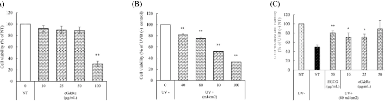 Fig. 2. Effect of cG&amp;Re treatment and UVB irradiation on HaCaT cell viability. (A) HaCaT cells were treated with dose-dependent  concentrations of cG&amp;Re for 24 h without UVB (B) HaCaT cells were exposed to UVB radiation (40, 60, 80, 100 mJ/cm2)