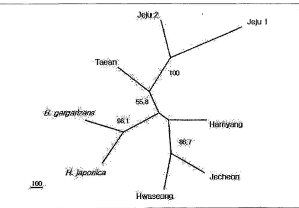 Fig.  2.  UPGMA  tree  of  the  six  populations  of  R.  nigromaculata ,  B.  gargarizans  and  H