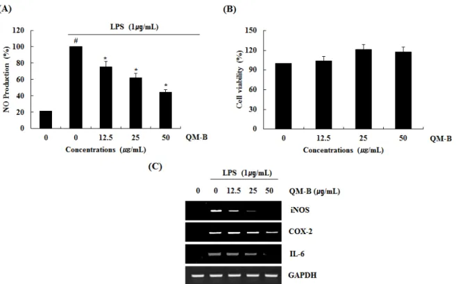 Fig. 1. The effect of QM-B on NO production and iNOS, COX-2 and IL-6 expression in LPS-stimulated RAW264.7 cells
