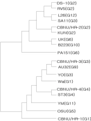 Fig 4. Cytopathic effects and immunofluorecence produced by recombinant virus in Sf9 cell (× 200).