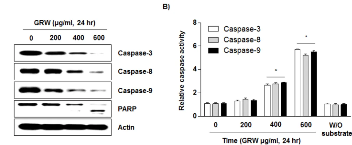 Fig. 5. Activation of caspases and the degradation of the caspase-3 substrate protein by GRW treatment in T24 human bladder cancer  cells