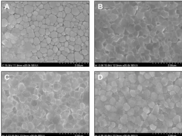 Table 3. Mean density, relative density, and grain size of sintered 3Y-TZP with different weight percents of chromium chloride
