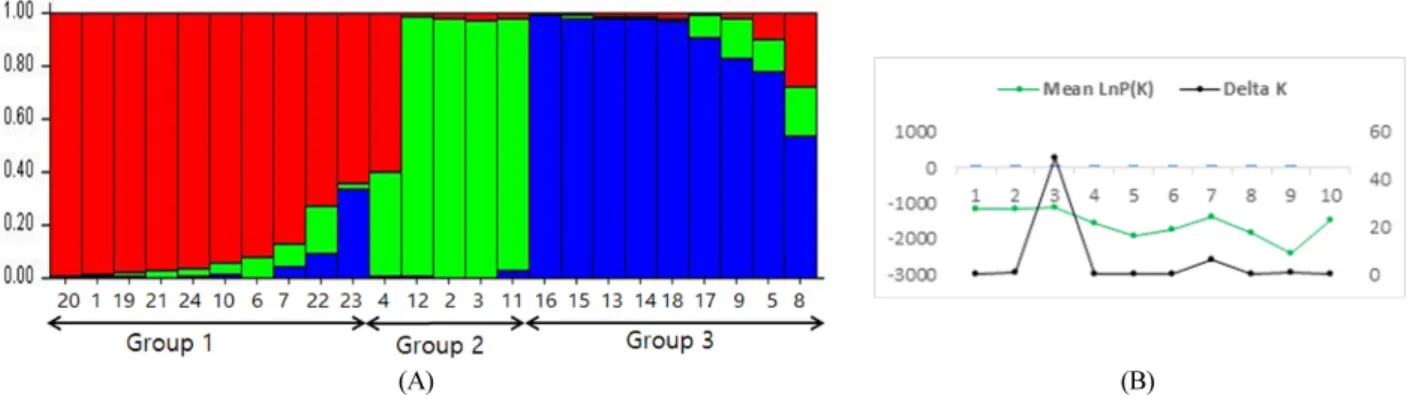 Fig. 3. Population structure of 24 accessions of sunflower based on 34 SSR-markers. (A) Structure analysis (STRUCTURE K =3)  distributed the population into groups according to the clusters obtained by the UNJ analysis