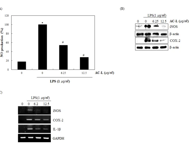 Fig. 2. The effect of AC-L on NO production and iNOS, COX-2 and IL-1 β expression in LPS-stimulated RAW264.7 cells