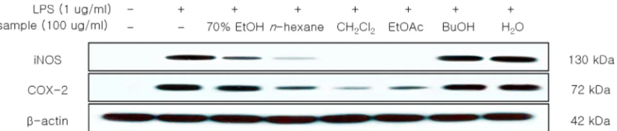 Fig. 7. Inhibitory effect of EtOAc fraction of FES on the protein level of iNOS and COX-2 in RAW264.7 cells