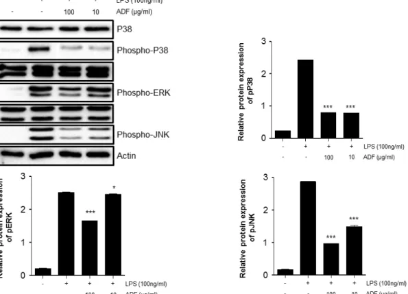 Fig. 4. The effect of ADF on the phosphorylation of p38, ERK, JNK (MAPK) in LPS-stimulated Raw264.7 cells