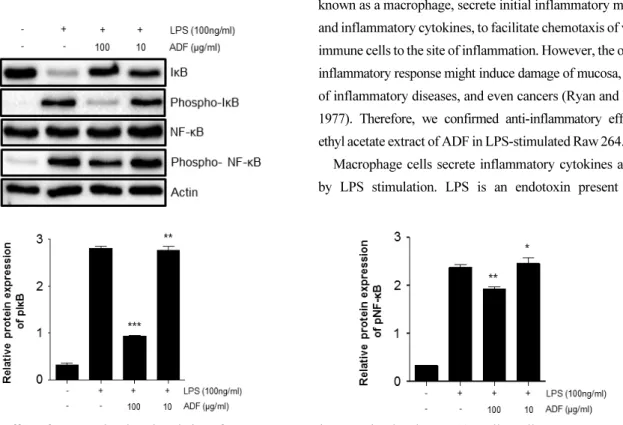 Fig. 5. The effect of ADF on the phosphorylation of I κB, NF-κB p65 in LPS-stimulated Raw264.7 cells