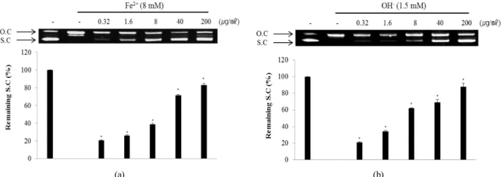 Fig. 4. Inhibitory effect of ECA against DNA cleavage induced by Fe 2+  ion (A) and hydroxyl radical (B)