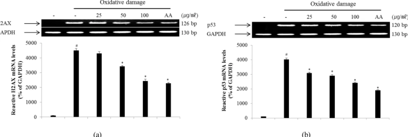 Fig. 6. Inhibitory effect of ECA on the expression of  γ-H2AX (A) and p53 (B) mRNA in NIH/3T3 cells induced by oxidative  damage