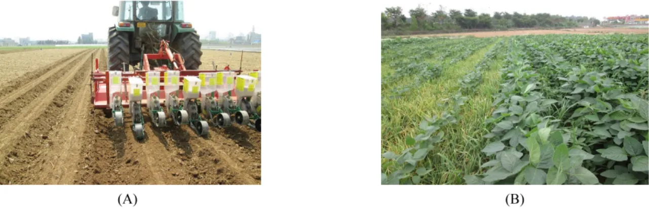 Fig. 2. Device for soil loss measurement during soybean cultivation (A), the machine used for partial collection of run-off water  in plastic buckets (B).