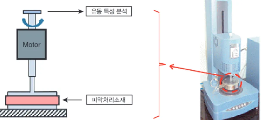 그림  5 Stress - controlled rheometer를 이용한 유동특성 분석.