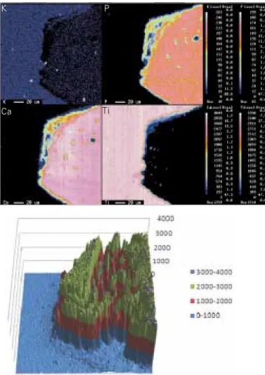 Fig. 1. Example of EPMA mapping result. I: implant, B: bone (K: upper left, P: upper right, Ca: lower left, Ti: lower right)