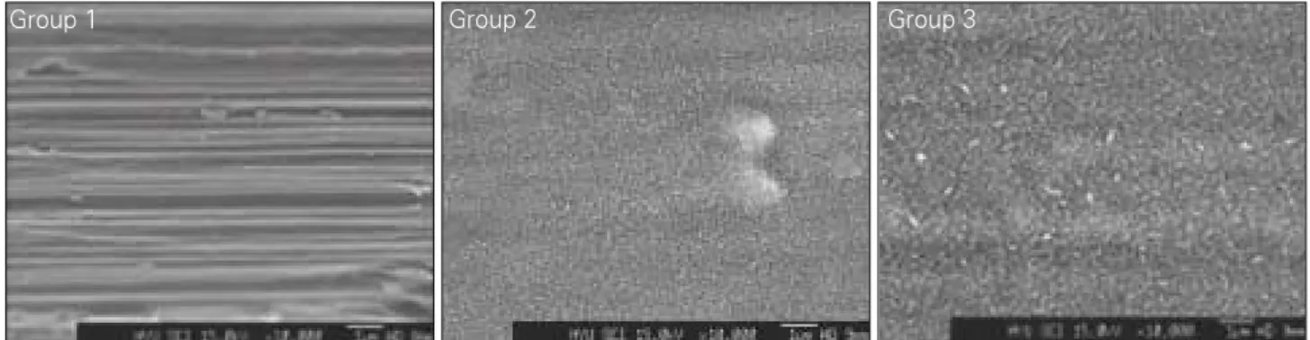Fig. 4. FESEM (Field Emition Scanning Electron Microscope) findings of implant surface